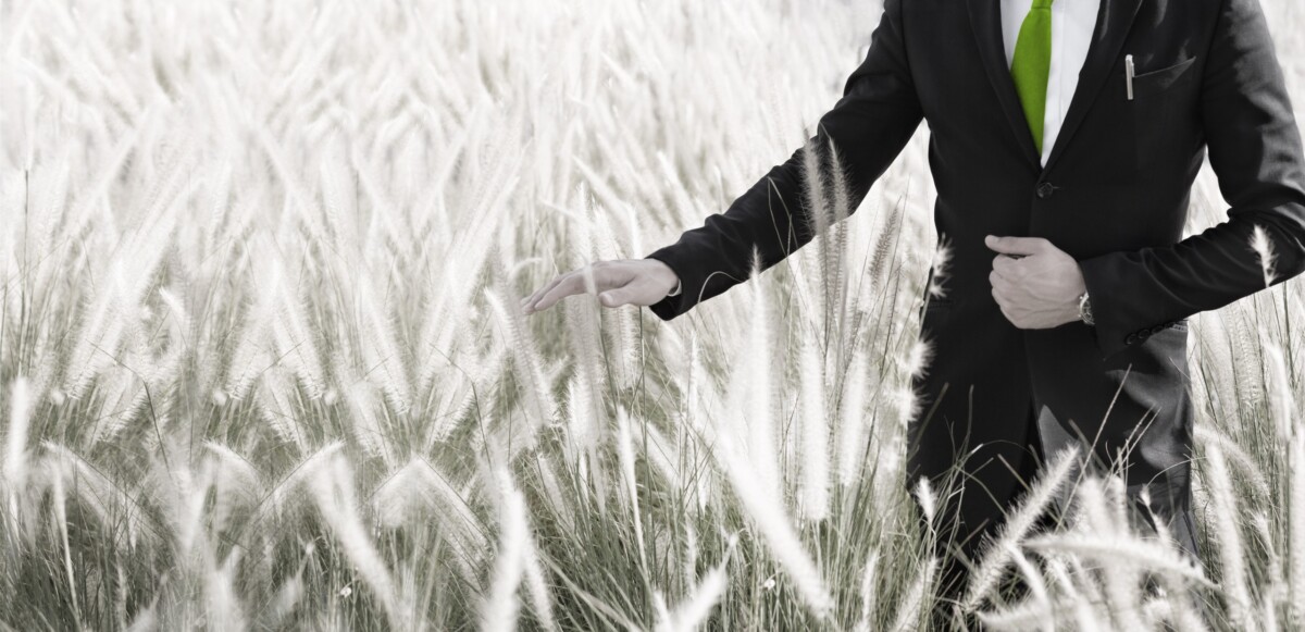 Energie, klima a životní prostředí